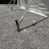 Drill and Fill Tent Stake in pavement or asphalt (close-up)
