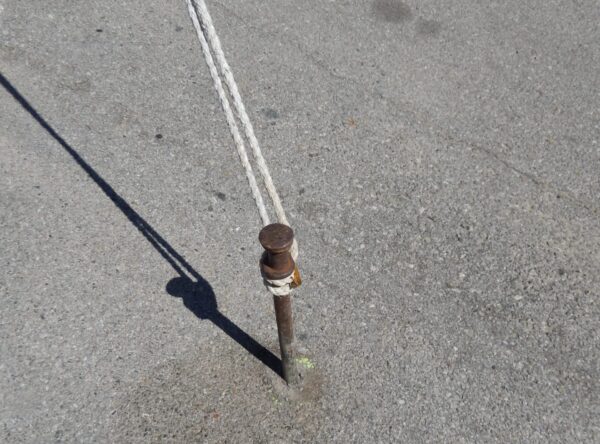 Hammered in tent stakes in pavement asphalt Hammered in tent stakes in pavement asphalt