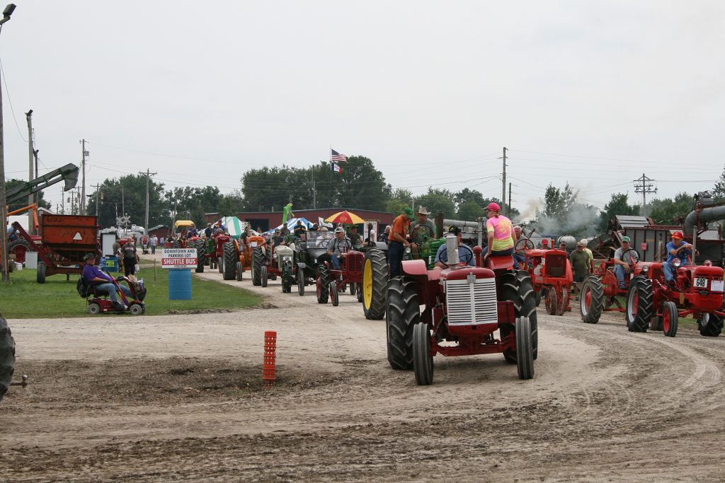 Line of steam engine tractors.