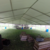 View from under the 40' x 60' Losberger event structure/tent.