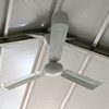 Ceiling fan rental for event tents
