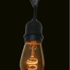 Café lights (Edison Light Bulb)