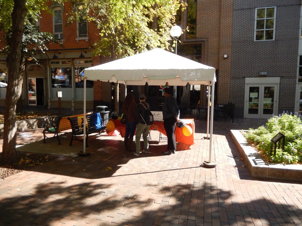 Author Eliza David's booth at the 2015 Iowa City Book Festival in the pedestrian mall in Iowa city