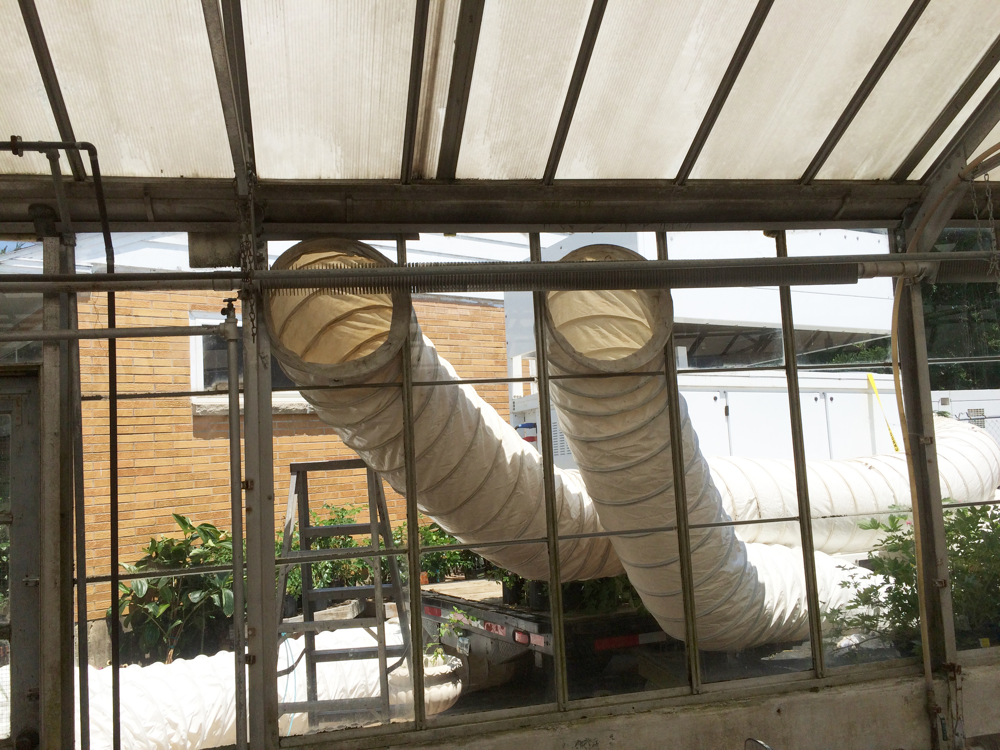 Air Conditioning ducts in window of greenhouse for a wedding in Iowa