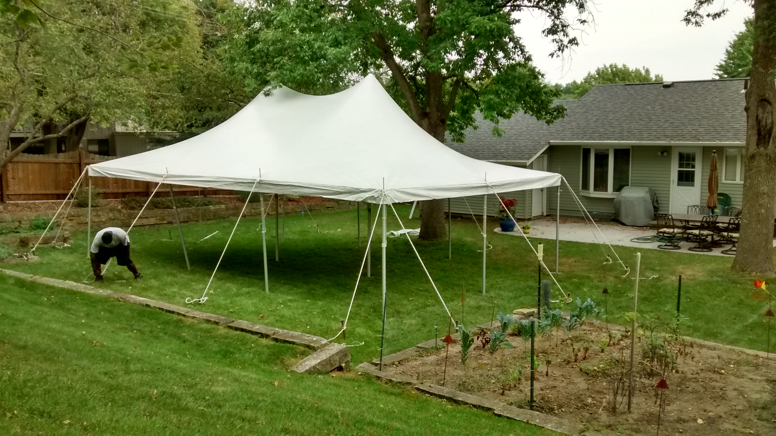 20' x 30' rope and pole tent fit under a tree in the backyard