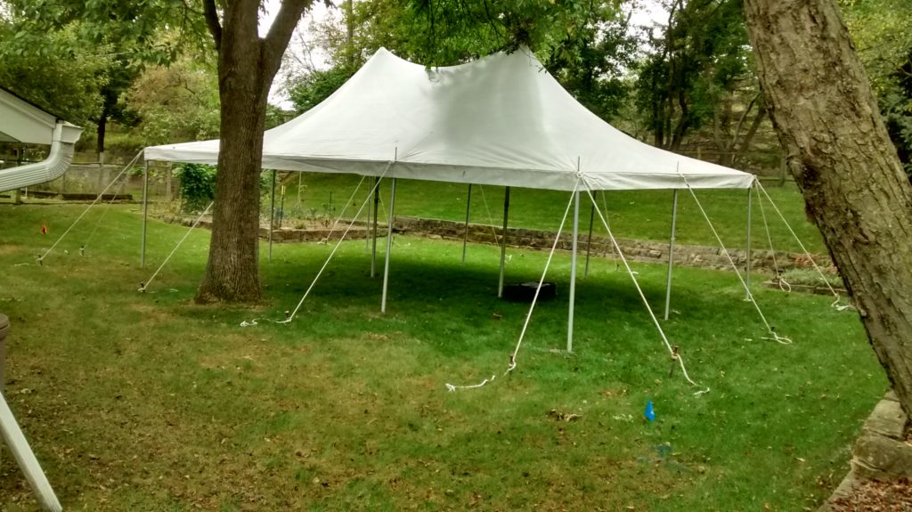 Setup a 20' x 30' rope and pole tent around a tree