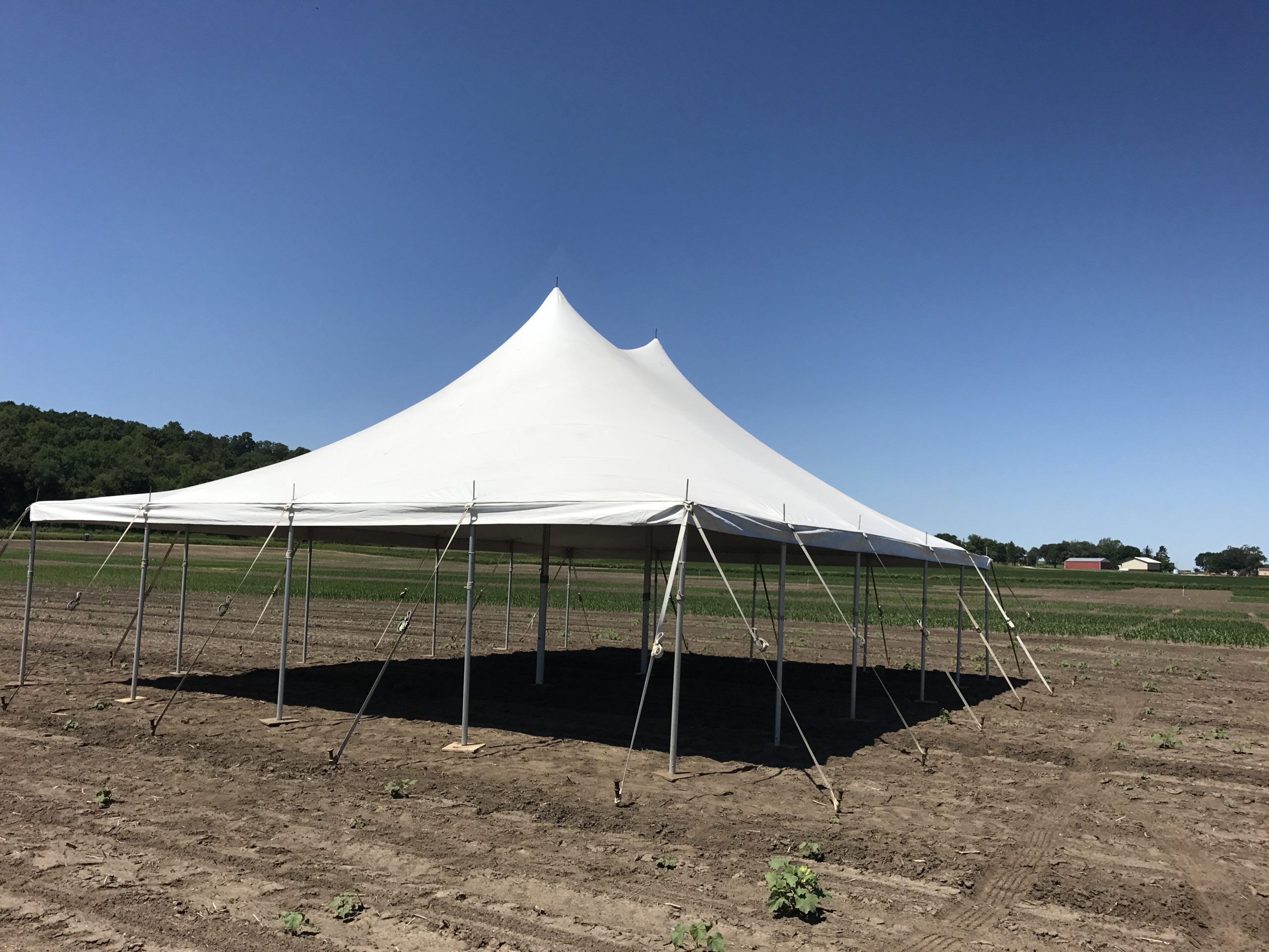 30' x 30' rope and pole tent for Monsanto Agrochemical Company in Marengo, Iowa