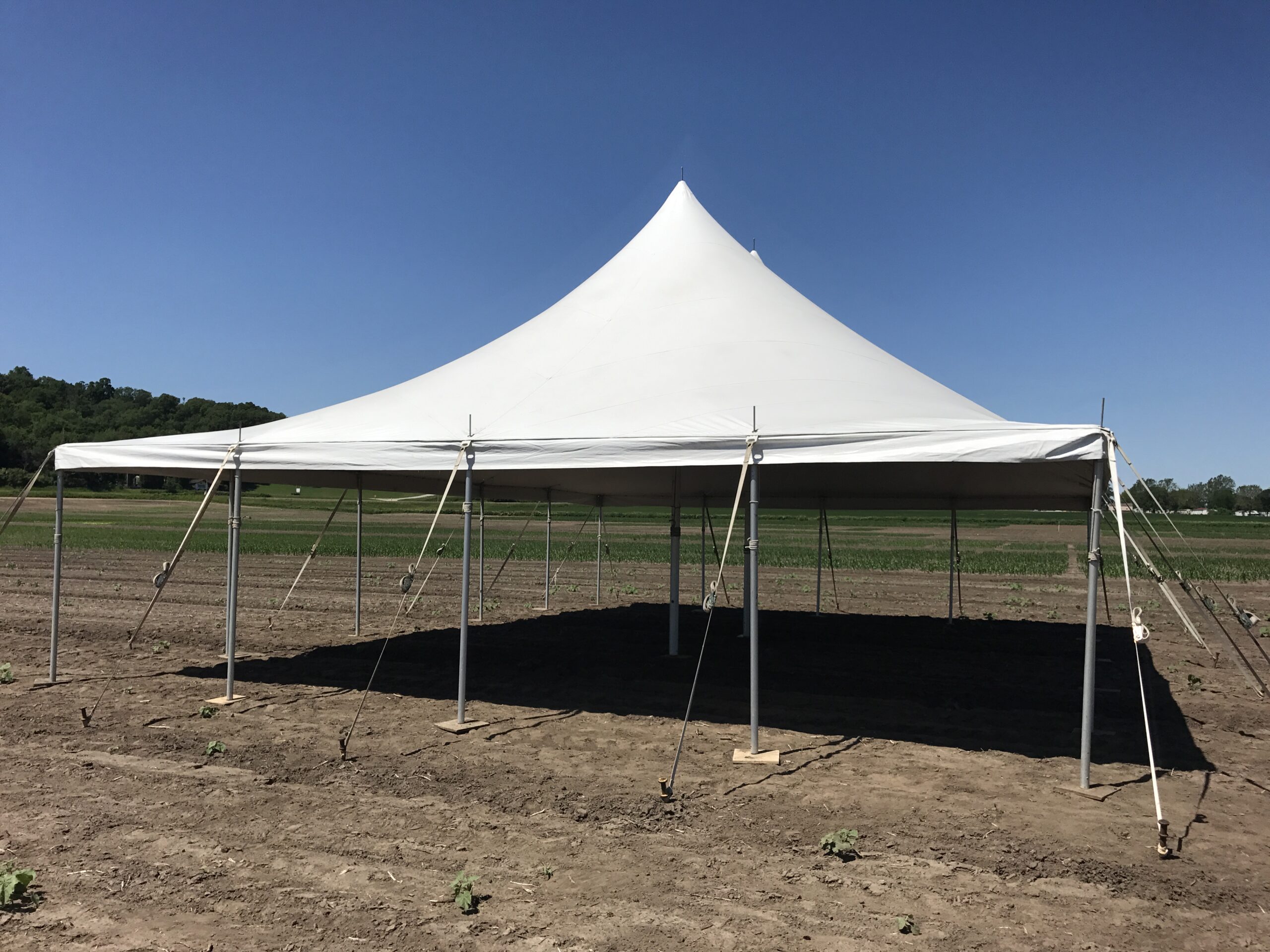 30' x 30' rope and pole tent in the field for Monsanto Agrochemical Company in Marengo, Iowa