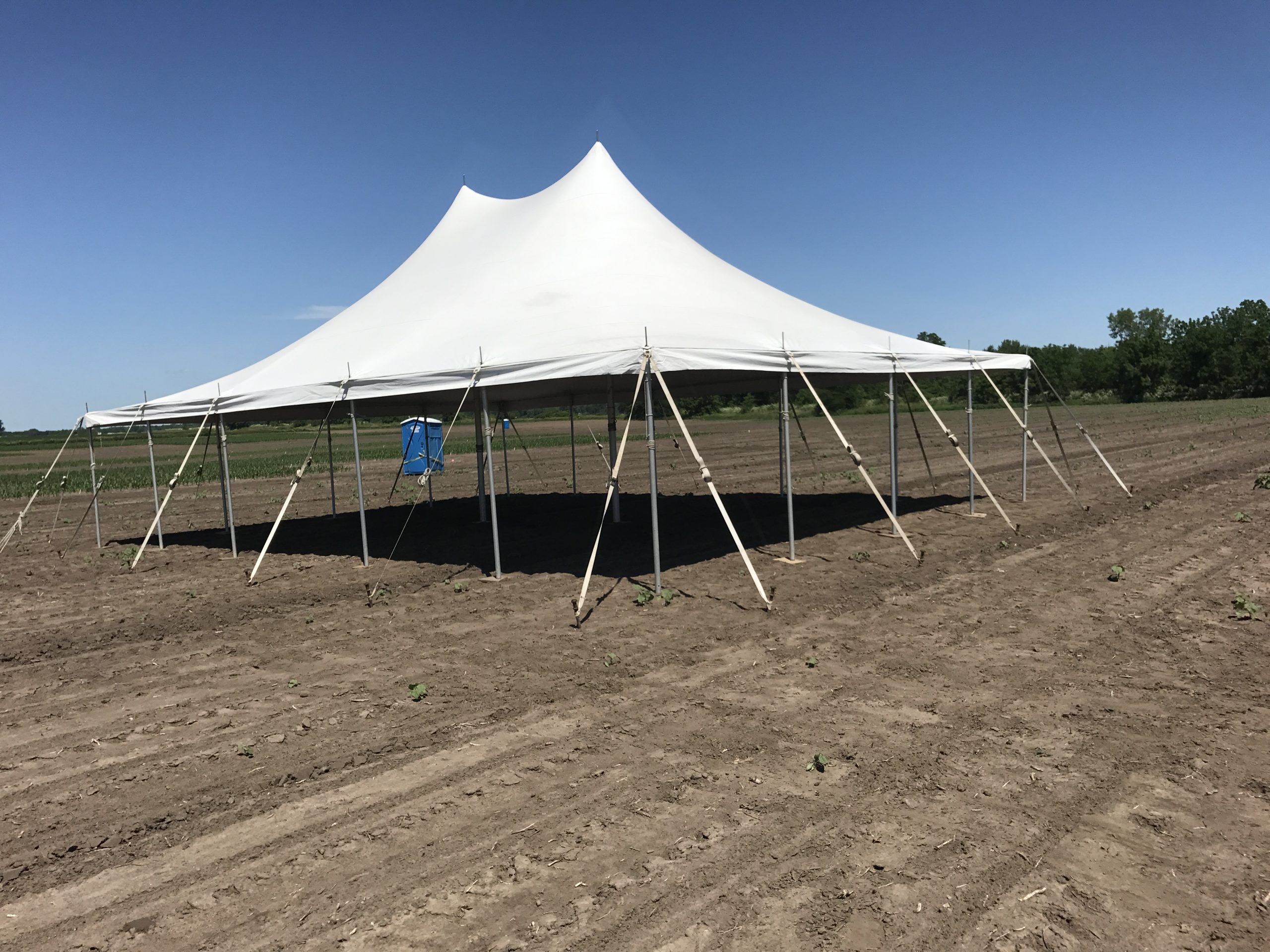 30' x 30' tent in the field for Monsanto Agrochemical Company in Marengo, Iowa