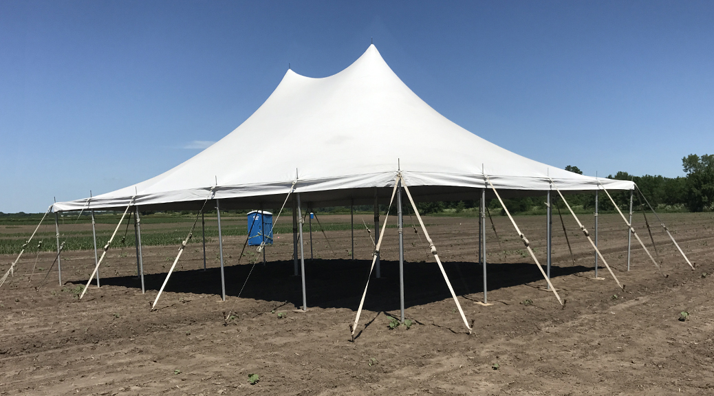 Tent for Monsanto Agrochemical Company in Marengo, Iowa