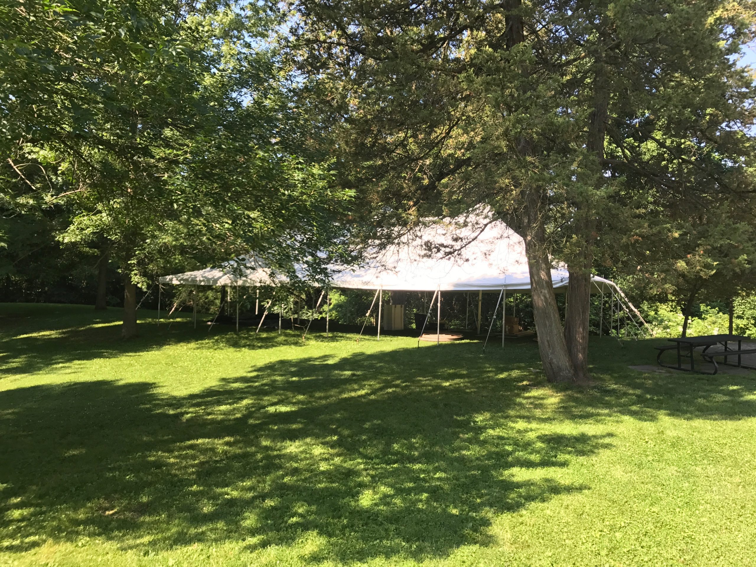 Trees around the 30' x 60' rope and pole wedding tent in Mount Vernon, Iowa
