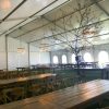 Under a 60' x 66' clearspan Losberger-made tent with tables and a tree from Town or Country Events