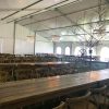 Under a 60' x 66' clearspan Losberger-made tent with tables and a tree