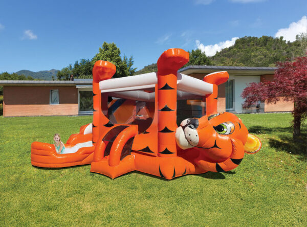 Rent Tiger Belly bounce house with slide