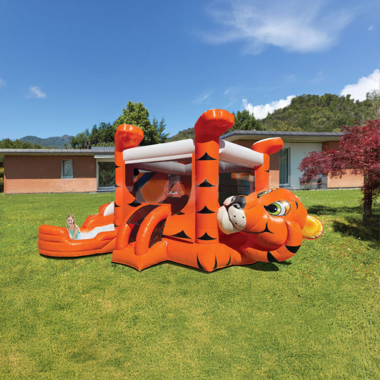 Rent Tiger Belly bounce house with slide