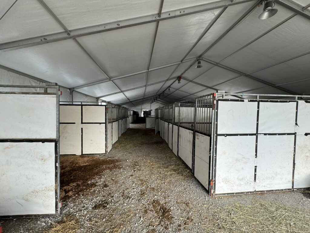 60' x 180' Clearspan Temporary Event Structure for the Special Workhorse Sale Kalona, Iowa in 2024 - Inside with temporary horse stalls.
