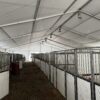 60' x 180' Clearspan Temporary Event Structure for the Special Workhorse Sale Kalona, Iowa in 2024 - Inside with temporary horse stalls.