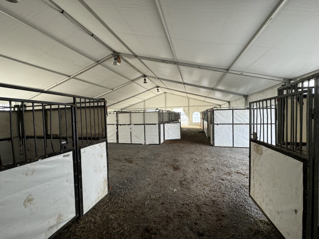 60' x 180' Clearspan Temporary Event Structure for the Special Workhorse Sale Kalona, Iowa in 2024 - Inside with temporary horse stalls. Under looking at the end.