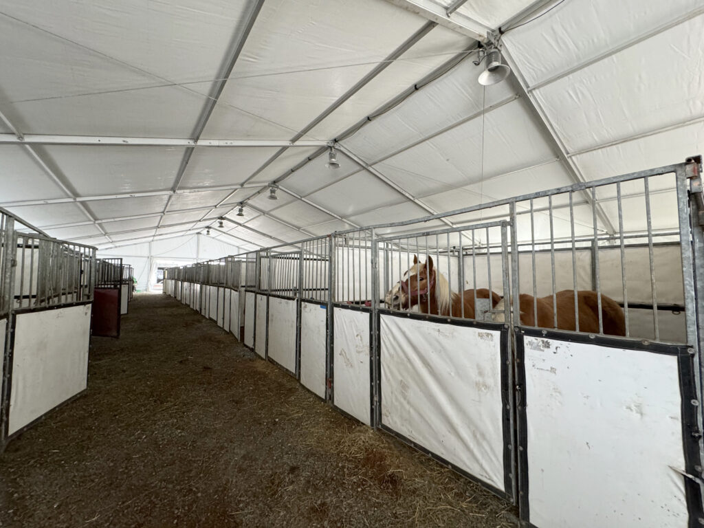 60' x 180' Clearspan Temporary Event Structure for the Special Workhorse Sale Kalona, Iowa in 2024. Inside with temporary horse stalls with horses.