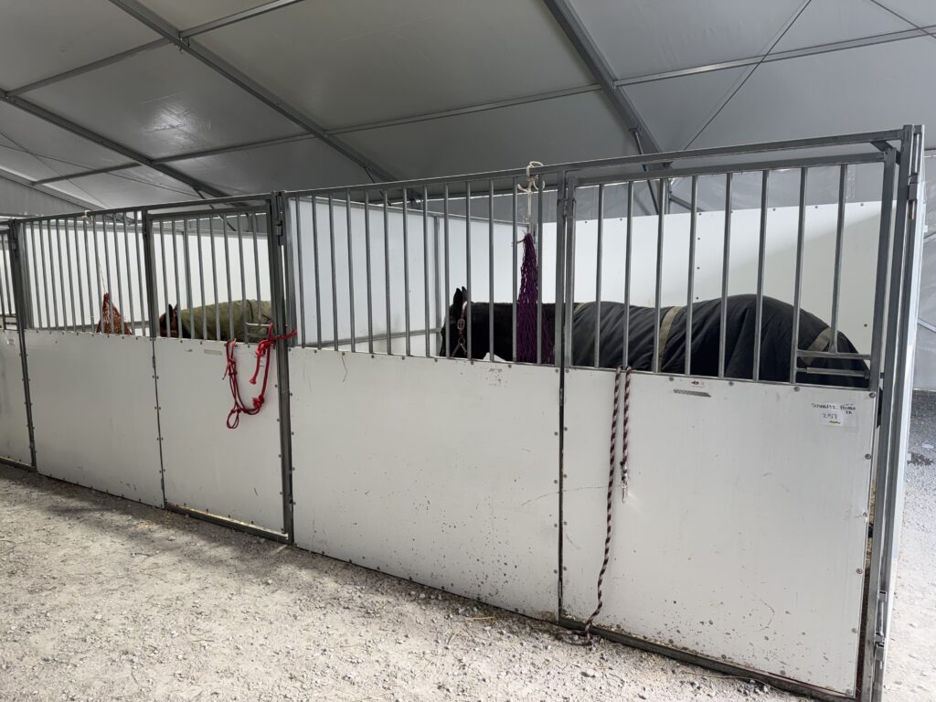 Horses in a stalls under a 60' × 230' Losberger Clearspan tent