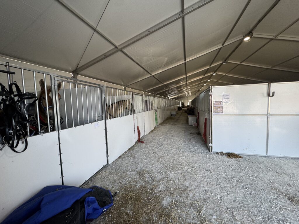 Horses under a 60' × 230' Losberger Clearspan tent at the Kalona Sales Barn at the 2026 Special Workhorse Sale