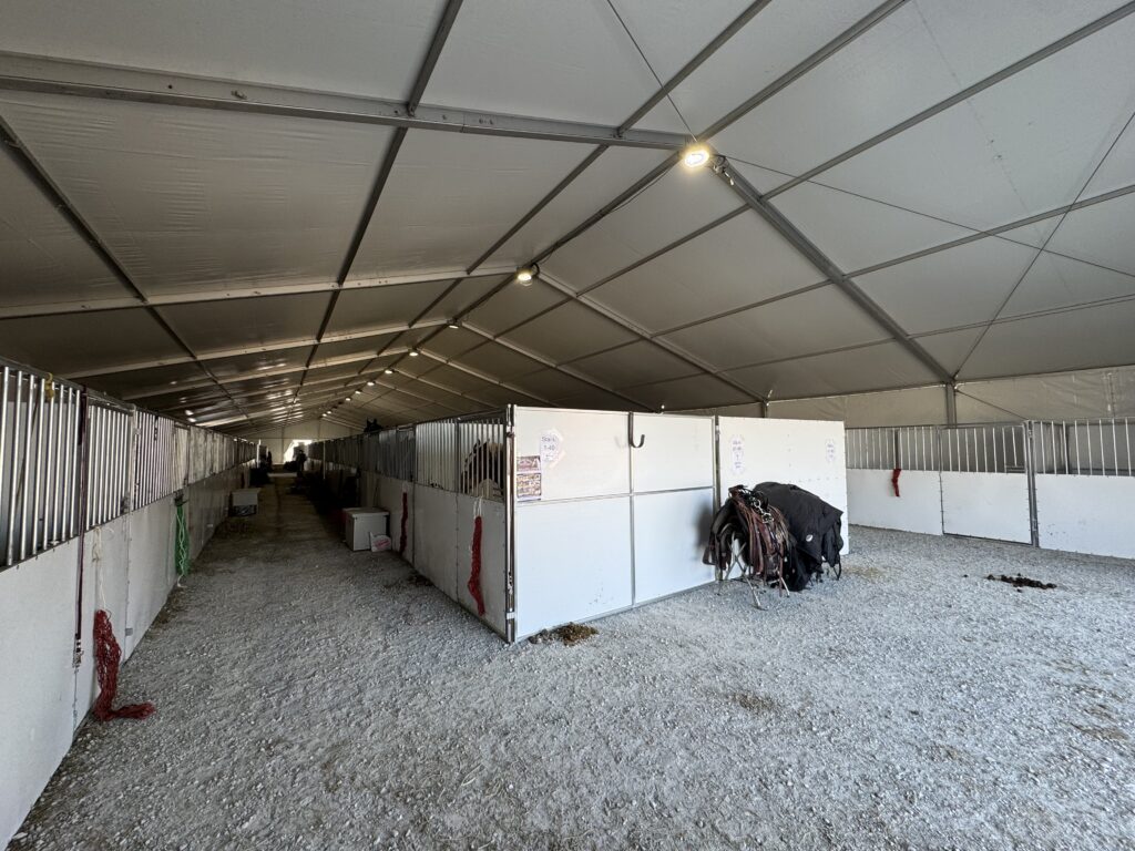 Stalls and horses under a 60' × 230' Losberger Clearspan tent at the Kalona Sales Barn at the 2026 Special Workhorse Sale