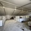 UFO Lights under a Horses under a 60' × 230' Losberger Clearspan tent