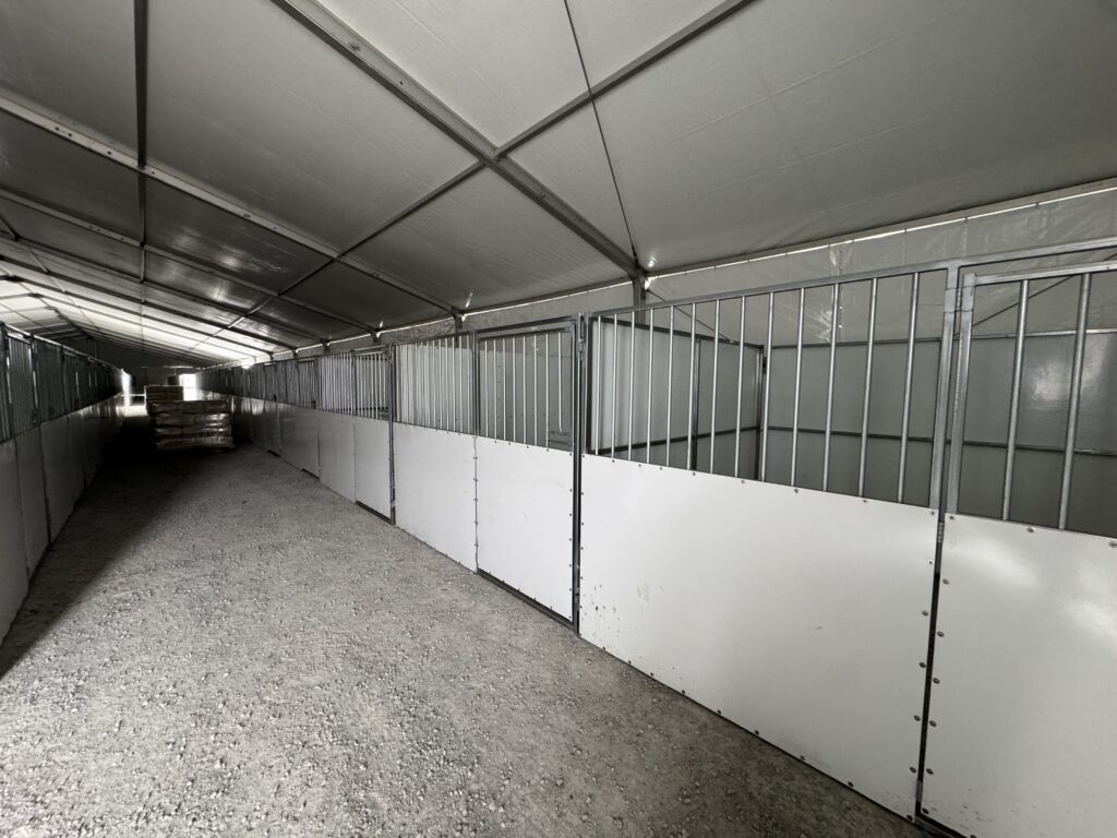 Under 60' x 230' (18m x 70m) Losberger Clearspan Event Structure with horse stalls at the Kalona Sales Barn.