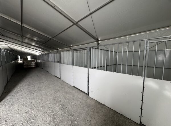 Under 60' x 230' (18m x 70m) Losberger Clearspan Event Structure with horse stalls at the Kalona Sales Barn. Under 60' x 230' (18m x 70m) Losberger Clearspan Event Structure with horse stalls at the Kalona Sales Barn.