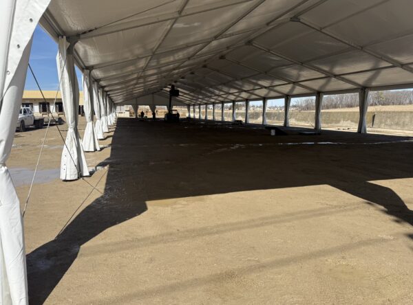 Crew adding lights using a Telehandlers (Telescopic Handlers) under a 60' x 230' (18m x 70m) Losberger Clearspan Tent at Waverly Midwest Horse Sale in Waverly, Iowa at Waverly Sales Co. Crew adding lights using a Telehandlers (Telescopic Handlers) under a 60' x 230' (18m x 70m) Losberger Clearspan Tent at Waverly Midwest Horse Sale in Waverly, Iowa at Waverly Sales Co.