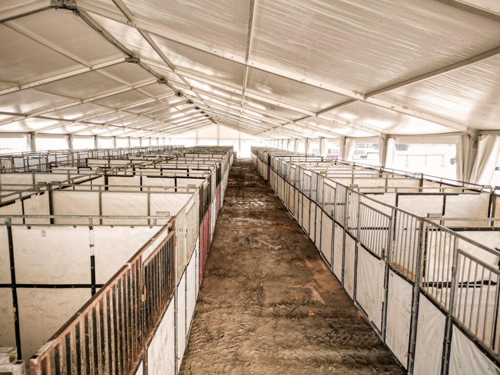 Under the 60′ x 230′ (18m x 70m) clearspan event structure at Waverly Sales Co in 2026 with horse stalls.