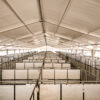 Under the 60′ x 230′ (18m x 70m) clearspan event structure at Waverly Sales Co in 2026 with temporary horse stalls.