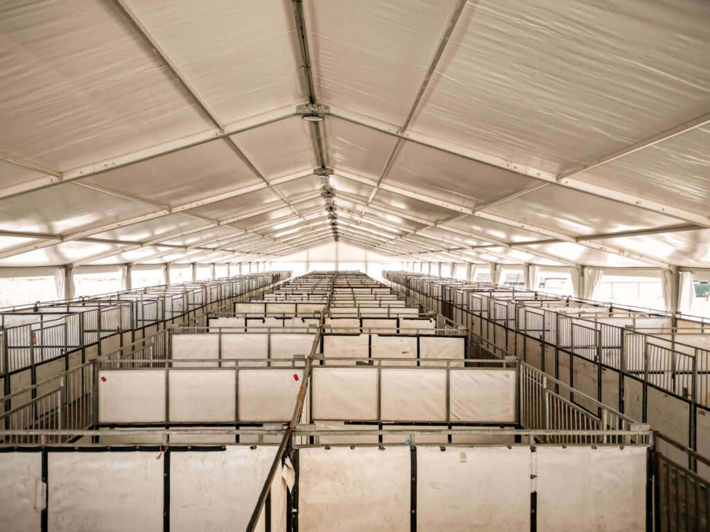 Under the 60′ x 230′ (18m x 70m) clearspan event structure at Waverly Sales Co in 2026 with temporary horse stalls.