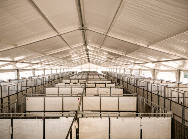 Under the 60′ x 230′ (18m x 70m) clearspan event structure at Waverly Sales Co in 2026 with temporary horse stalls. Under the 60′ x 230′ (18m x 70m) clearspan event structure at Waverly Sales Co in 2026 with temporary horse stalls.